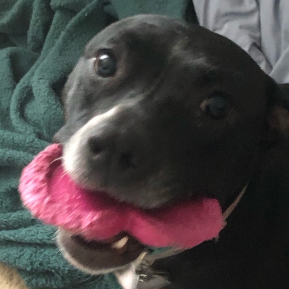 Meet your Posher, Esther - Picture 3 of 8